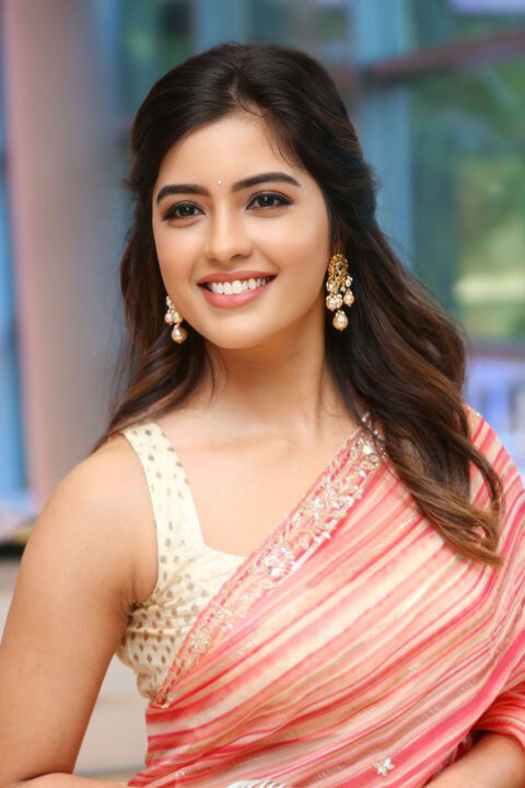 Amritha Aiyer Stuns in Pink Striped Saree at Bachhala Malli Trailer Launch