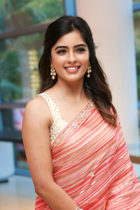 Amritha Aiyer in Gorgeous Pink Striped Saree Look at Bachhala Malli Trailer Launch