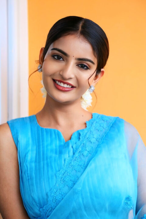 Ananya Nagalla in Transparent Blue Saree at Srikakulam Sherlockholmes Interview