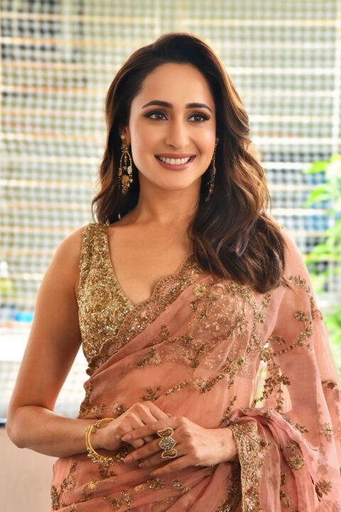 Pragya Jaiswal in Peach Embroidered Saree at Daaku Maharaj Success Meet