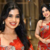 Aishwarya Hollakal in Pen Kalamkari Saree at Brahma Anandam Event