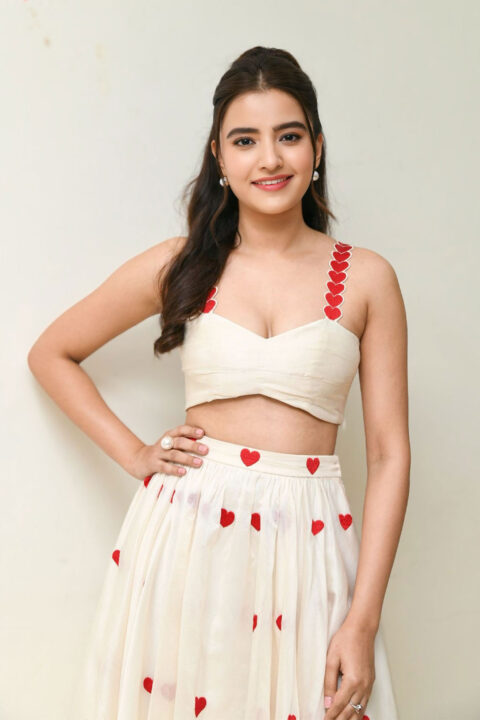 Rukshar Dhillon Glam Stills in Linen Bralette at Dilruba Song Launch