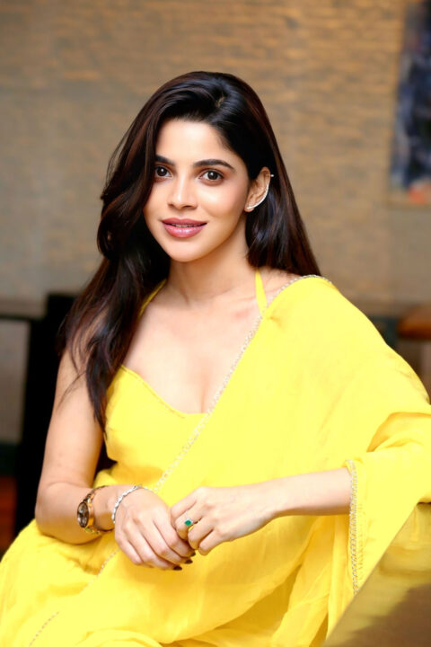 Divyabharathi Stuns in Yellow Georgette Anarkali at Kingston Promotions