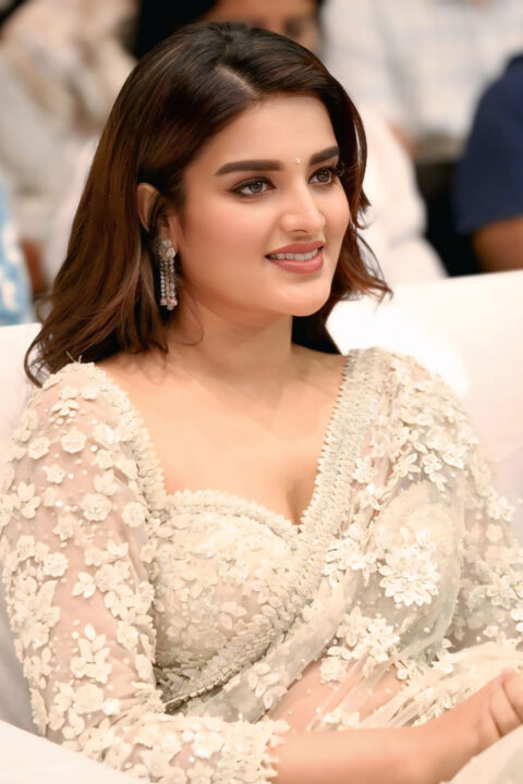 Nidhhi Agerwal shines in floral saree at Veera Mallu song event