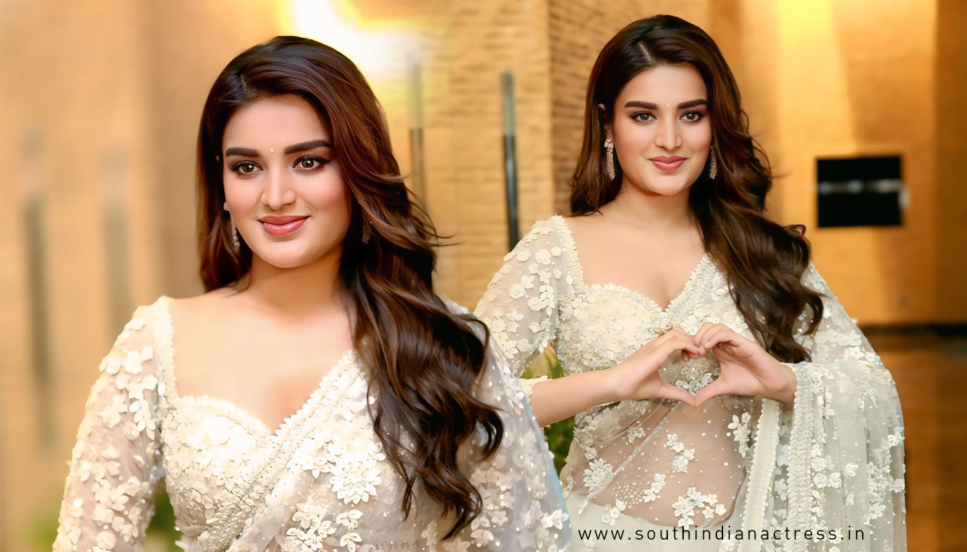 Nidhhi Agerwal in stunning floral saree at Hari Hara Veera Mallu song release