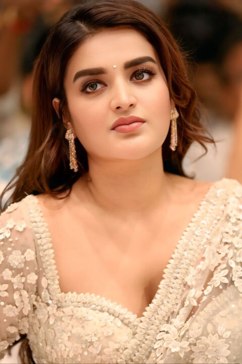 Nidhhi Agerwal wows in embellished saree at Veera Mallu song release