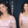 Riya Suman stuns in dreamy floral net saree for Vachinavadu Goutham