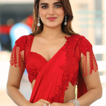 Previous Image