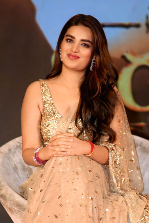 Nidhhi Agerwal Radiates in Gold Saree at Hari Hara Veera Mallu Celebration