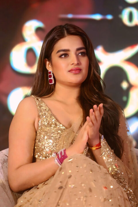 Nidhhi Agerwal in Opulent Look at Hari Hara Veera Mallu Success Meet