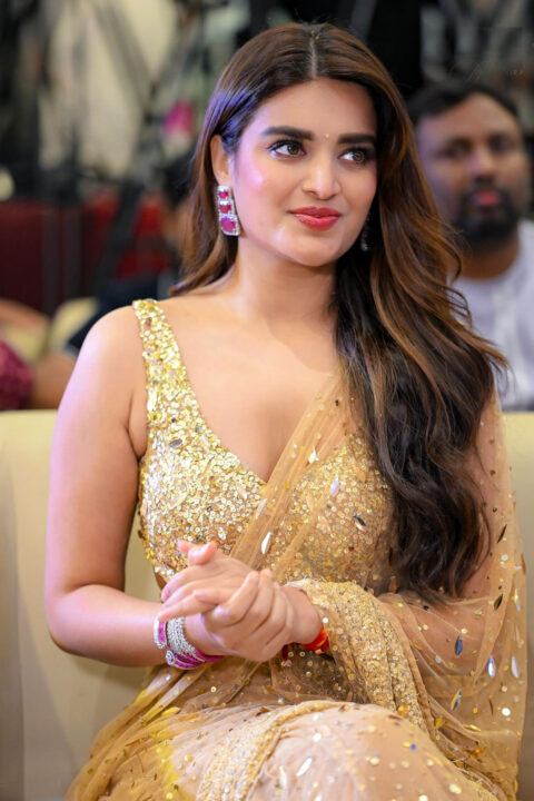 Nidhhi Agerwal in Elegant Gold Saree for Hari Hara Veera Mallu Celebrations