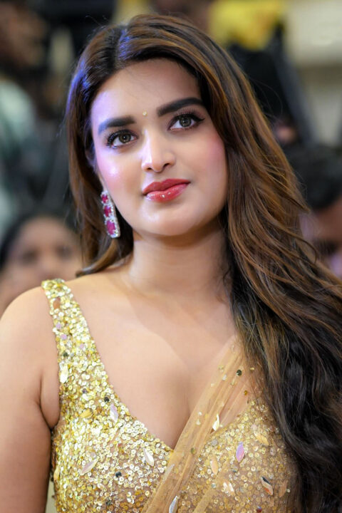 Nidhhi Agerwal Sizzling Stills in Gold Saree for Hari Hara Veera Mallu