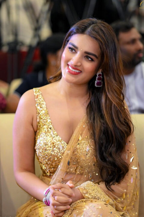 Nidhhi Agerwal in Mesmerizing Presence at Hari Hara Veera Mallu Meet