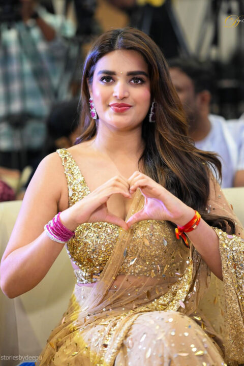 Nidhhi Agerwal Fashion Highlight at Hari Hara Veera Mallu Success Meet