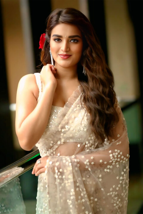 Nidhhi Agerwal Dazzles in Sheer Saree at Hari Hara Veera Mallu Press Meet