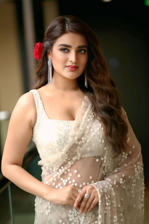 Nidhhi Agerwal in Stunning Transparent Saree for Hari Hara Veera Mallu