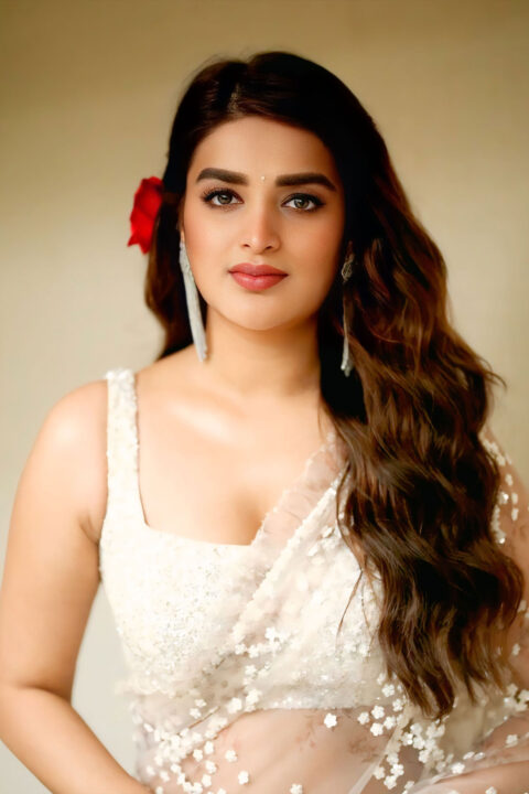 Nidhhi Agerwal Glamorous Stills in Sheer Saree for Hari Hara Veera Mallu