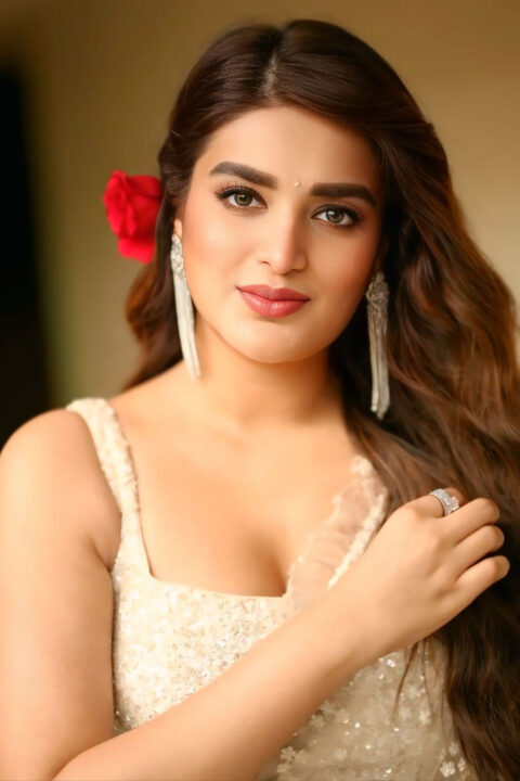 Nidhhi Agerwal Ethereal Beauty at Hari Hara Veera Mallu Press Meet