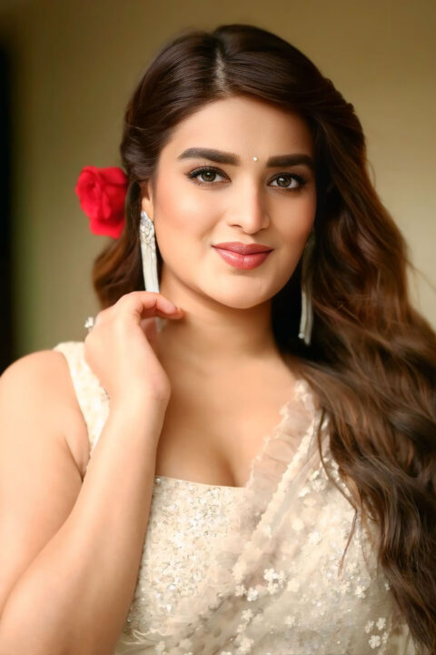Nidhhi Agerwal Captivates in Transparent Saree at Press Meet