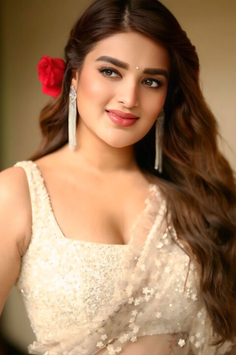 Nidhhi Agerwal in Sophisticated Saree for Hari Hara Veera Mallu Event
