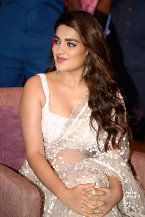 Nidhhi-Agerwal-51