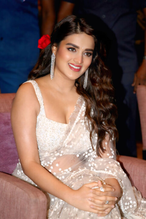 Nidhhi Agerwal Bold Choice: Sheer Saree at Hari Hara Veera Mallu Press Meet