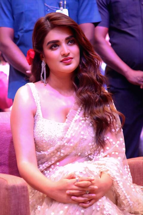 Nidhhi Agerwal Sizzling Look in Sheer Saree for Hari Hara Veera Mallu