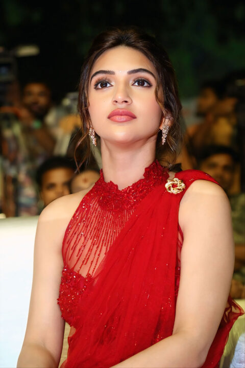 Sreeleela steals the show in red at Junior pre-release