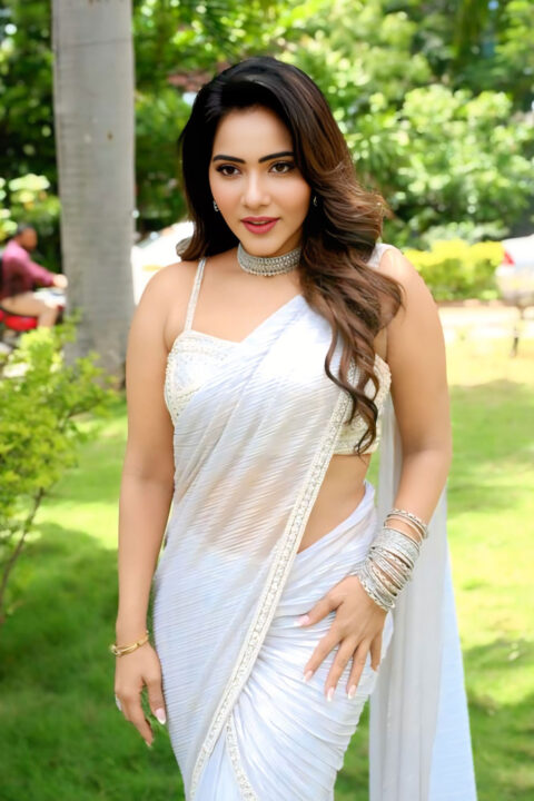 All eyes on Mitraaw Sharma at Virgin Boys trailer release in saree