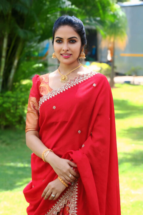 Divi Vadthya Flawless Traditional Appearance for Napoleon Returns