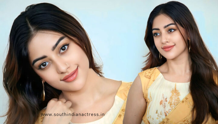 Anu Emmanuel in  Saree Look for The Girlfriend Promotional Interviews