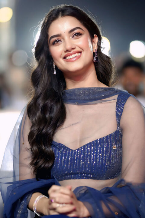 Bhagyashri Borse Exudes Starry Elegance in Blue Net Dupatta