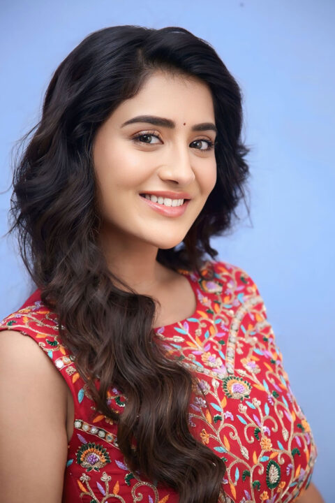 Rashi Singh Panchminar Trailer Launch Outfit: A Glamorous Masterpiece