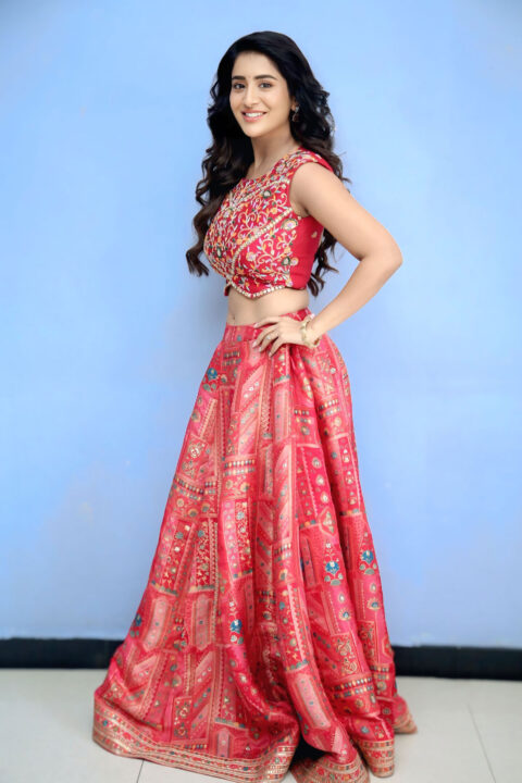 Rashi Singh Radiant Smile and Glamorous Lehenga for Panchminar