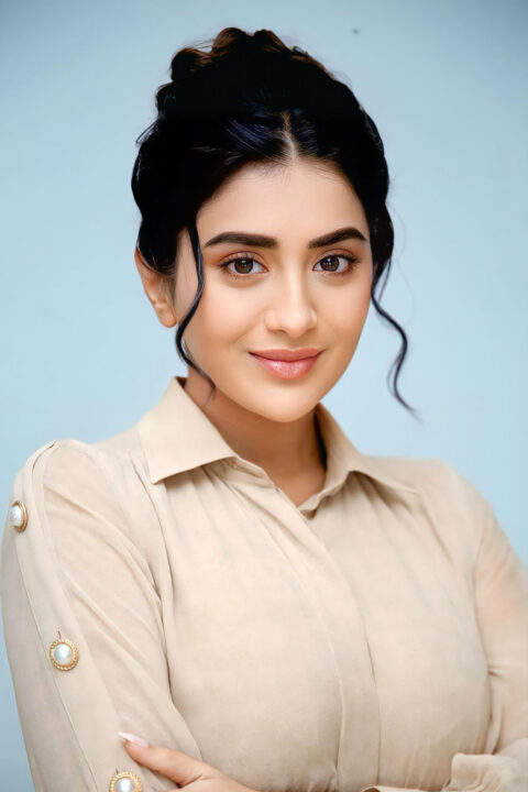 Rashi Singh Understated Glamour in Long Dress for Success Event