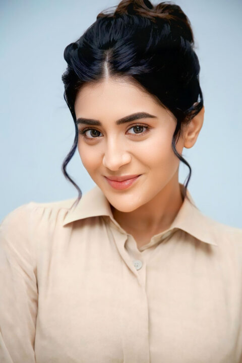 Rashi Singh Fashion-Forward Look for Paanch Minar Celebration