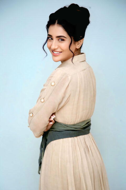 Rashi Singh Polished and Refined Style for Success Meet