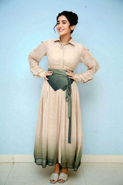 Rashi Singh in Radiant Appearance at Paanch Minar Success Meet