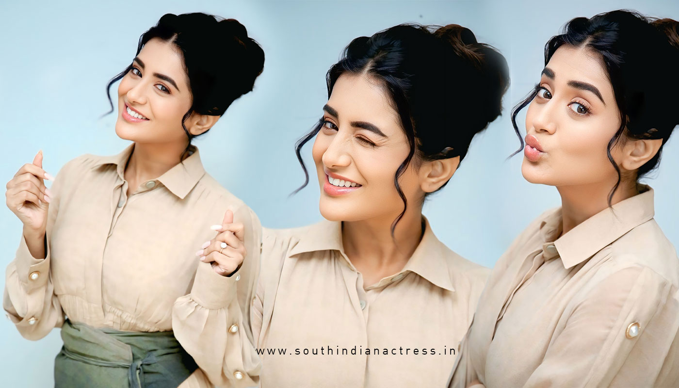 Rashi Singh Exudes Modern Elegance in Chic Zia Long Dress at Paanch Minar Success Meet