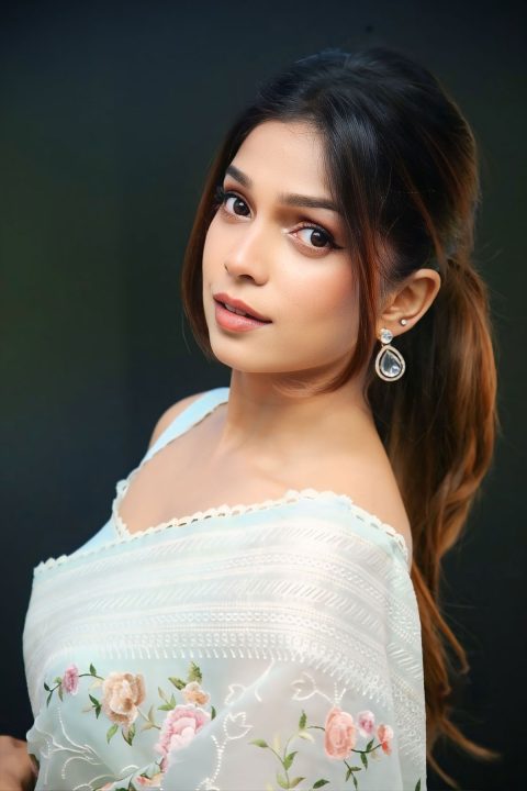 Ayaana Captivates in Mint Green Organza at Movie Event