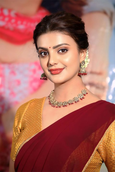 Meera Raj Stuns in Maroon Half-Saree at Son Of Pre-Release Event