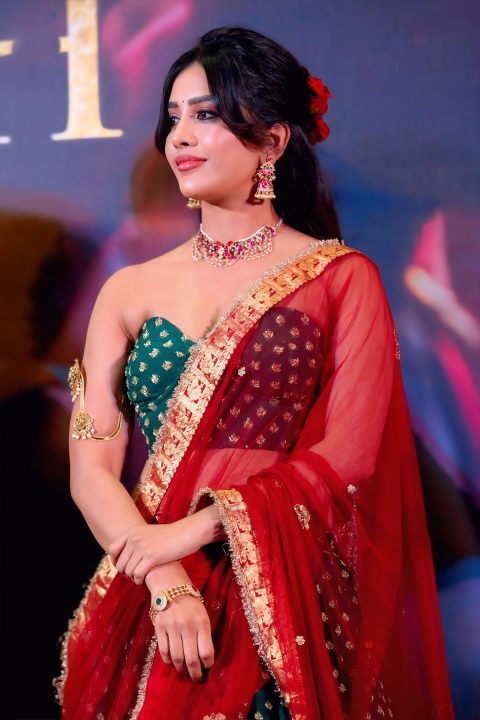 Nabha Natesh Golden Polka Dot Sensation at Swayambhu Event