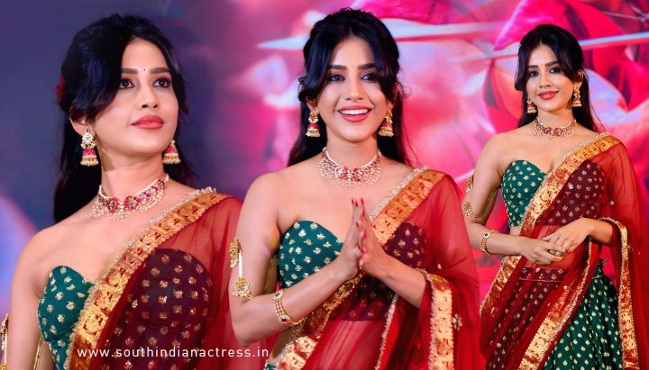 Nabha Natesh in Seductively Traditional Look in Bottle Green & Gold