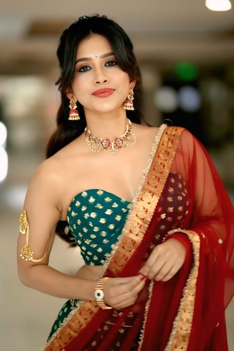 Nabha Natesh Detailed Gold Embroidery and Scalloped Border Fashion