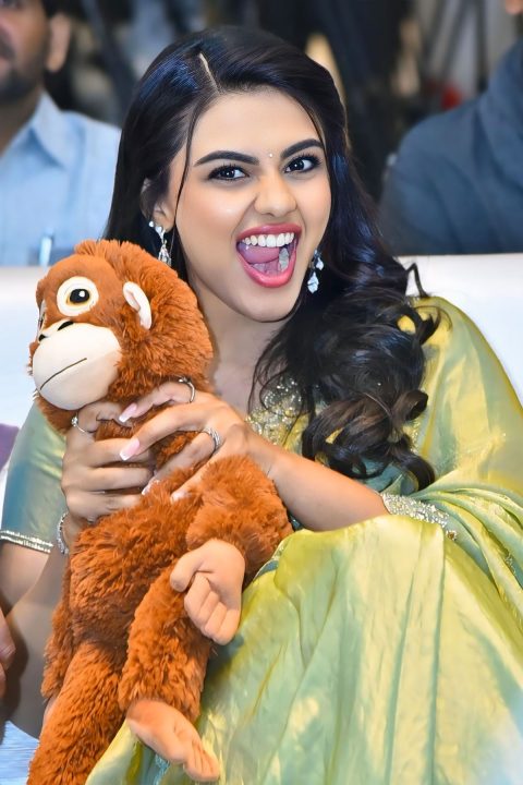 Nayan Sarika V-Neck Embroidered Blouse and Green Saree Fashion