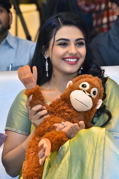 Viral Stills: Nayan Sarika Breathtaking Green Saree Avatar