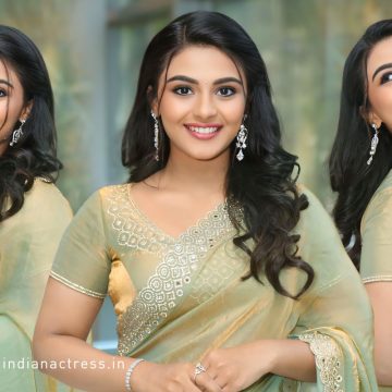 Nayan Sarika Golden Sheen Saree Steals the Spotlight