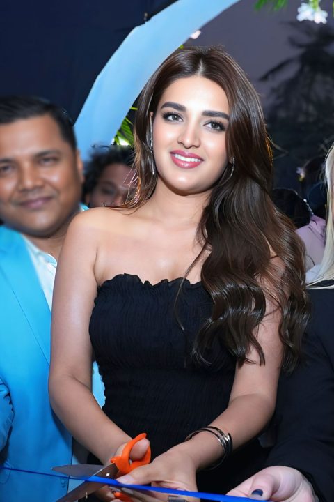 Viral Stills: Nidhhi Agerwal in a Sheer Ruffled Skirt and Black Bodice