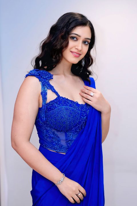 Rhea Sachdeva Bold Corset Blouse and Saree at Rama Naidu Studios