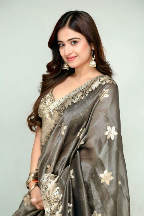 Saylim Chaudhari Voluminous Waves and Radiant Smile at Press Meet